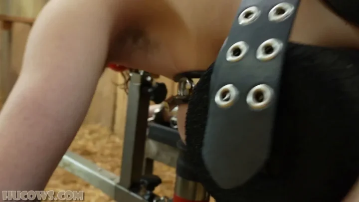Delphine Mason | edging and milking (hu599) – BDSMFet.com